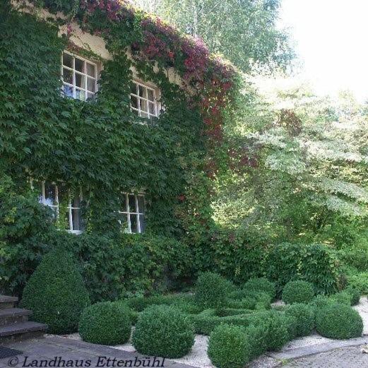 Landhaus Ettenbuehl Bed And Breakfast Bad Bellingen Ngoại thất bức ảnh